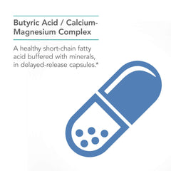 Concept image of gut health and colon