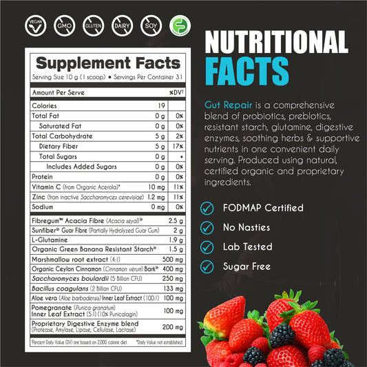 Illustration of gut health and digestion support