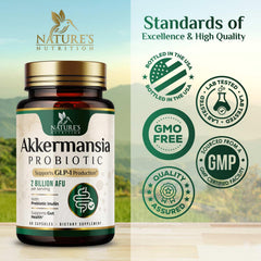 Digestive health and gut wellness with Akkermansia concept