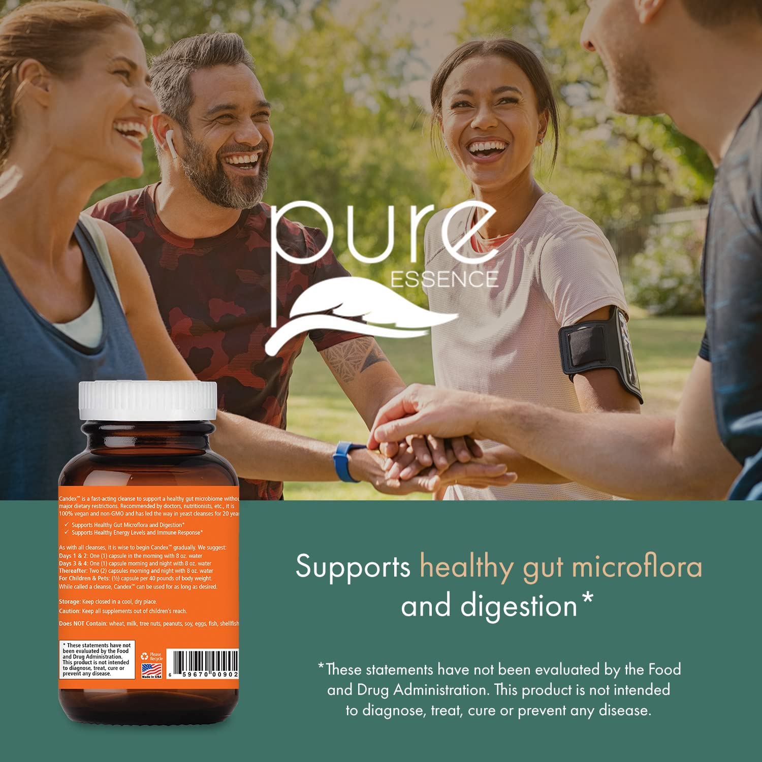 Illustration of gut health and balanced microbiome