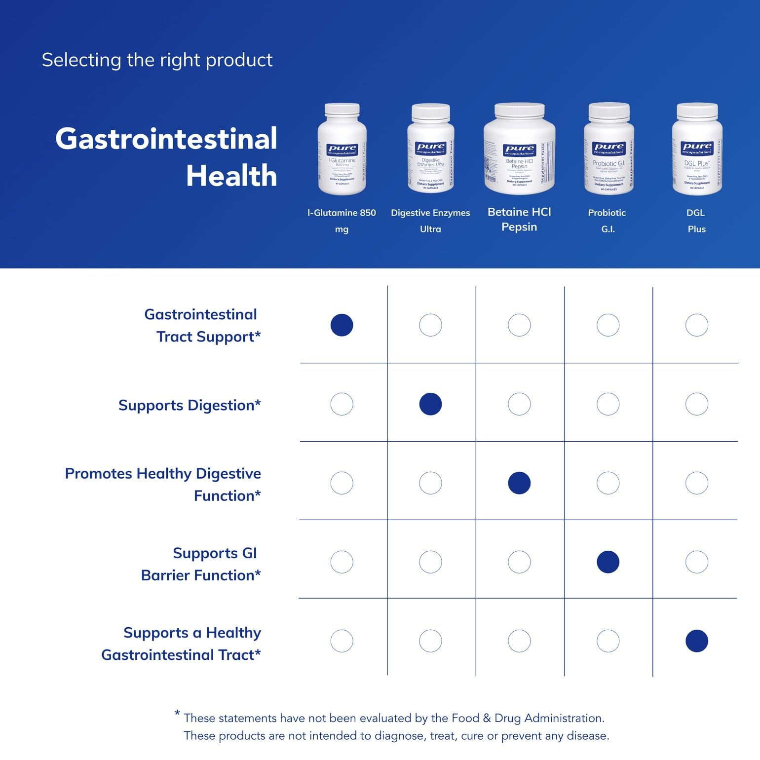 Illustration representing gut health