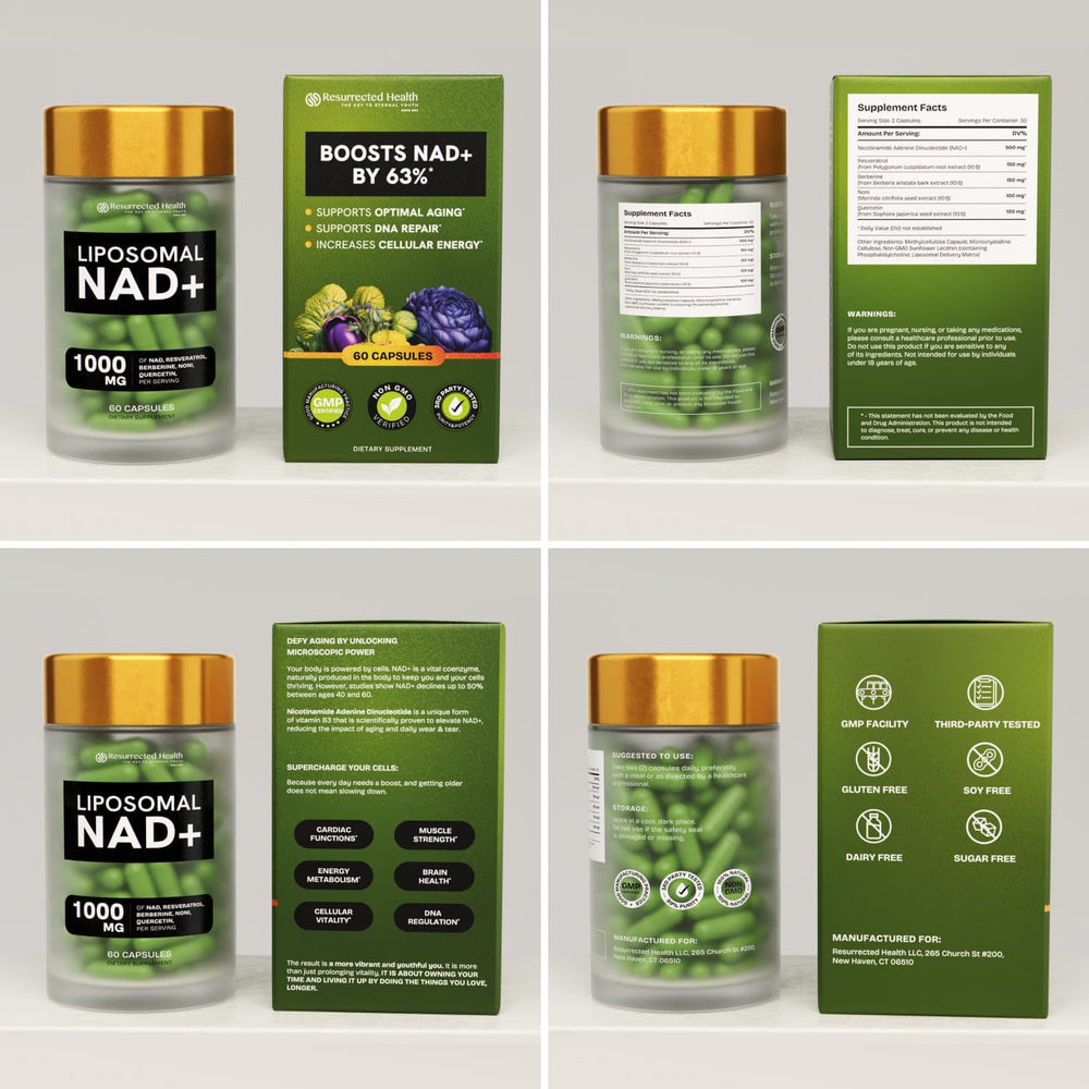 Graphic representing gut health and wellness