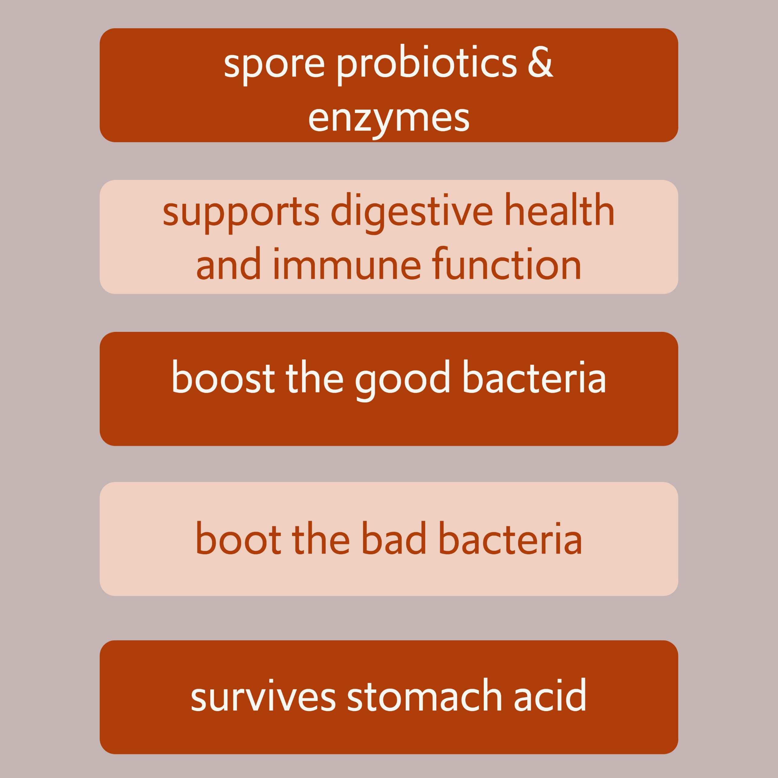 Graphic showing healthy gut microbiome balance