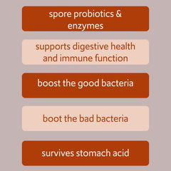 Graphic showing healthy gut microbiome balance