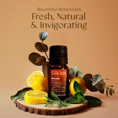 Diffuser releasing Breathe essential oil into air