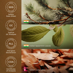 Gya Labs Christmas Tree essential oil packaging