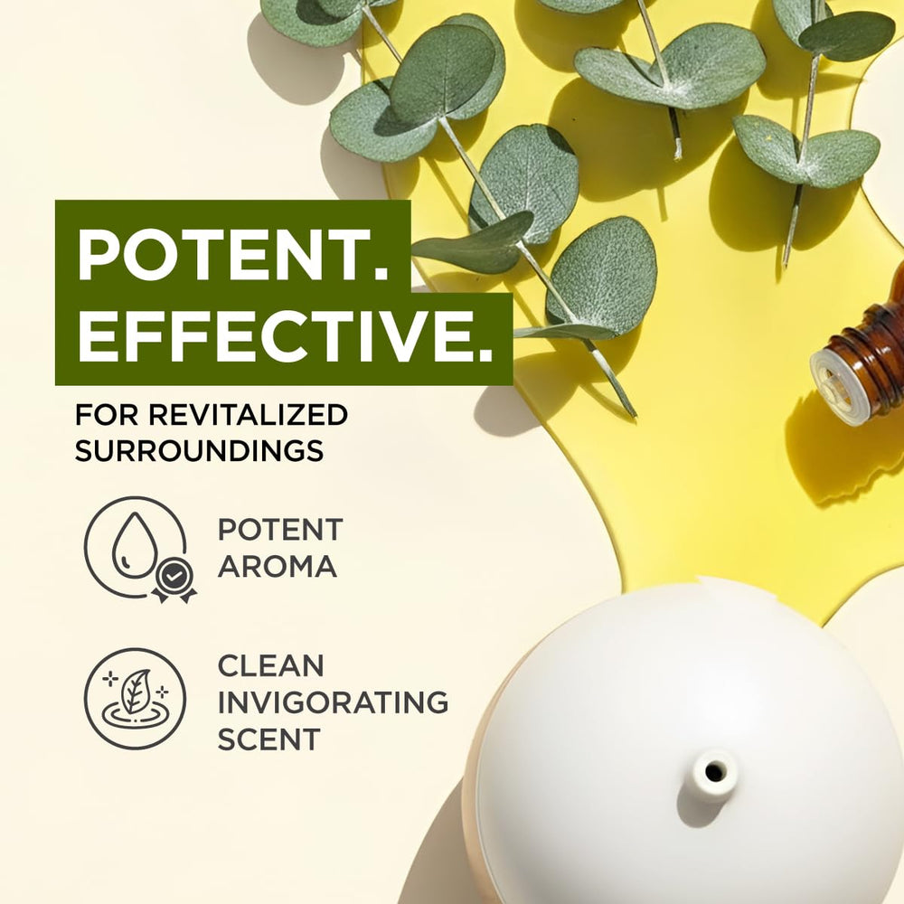 Gya Labs eucalyptus oil for skin care image