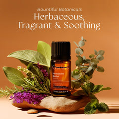 Ingredients: rosemary oil, spearmint oil, basil essential oil and eucalyptus oil