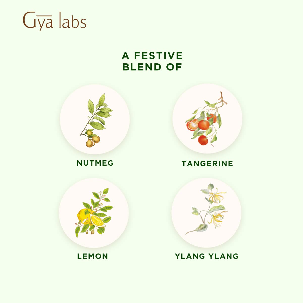 Amber bottle packaging of Gya Labs Holiday Essential Oil Blend, cruelty-free