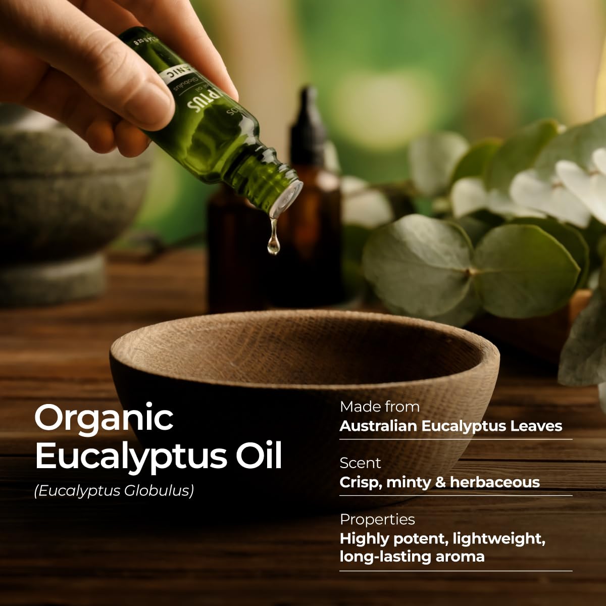 Eucalyptus oil suitable for skin care applications