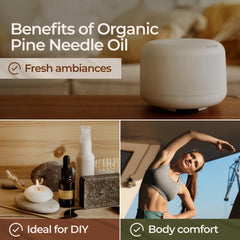 Pine needle essential oil for hair care