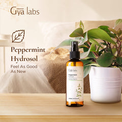 3.4 fl oz Peppermint Hydrosol bottle with sprayer