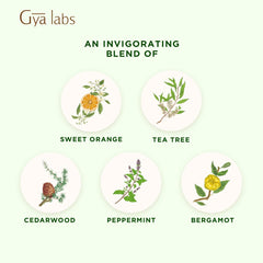 DIY ideas using Purify Essential Oil Blend for candles and soaps