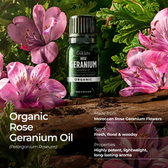 Rose geranium essential oil diffuser aroma