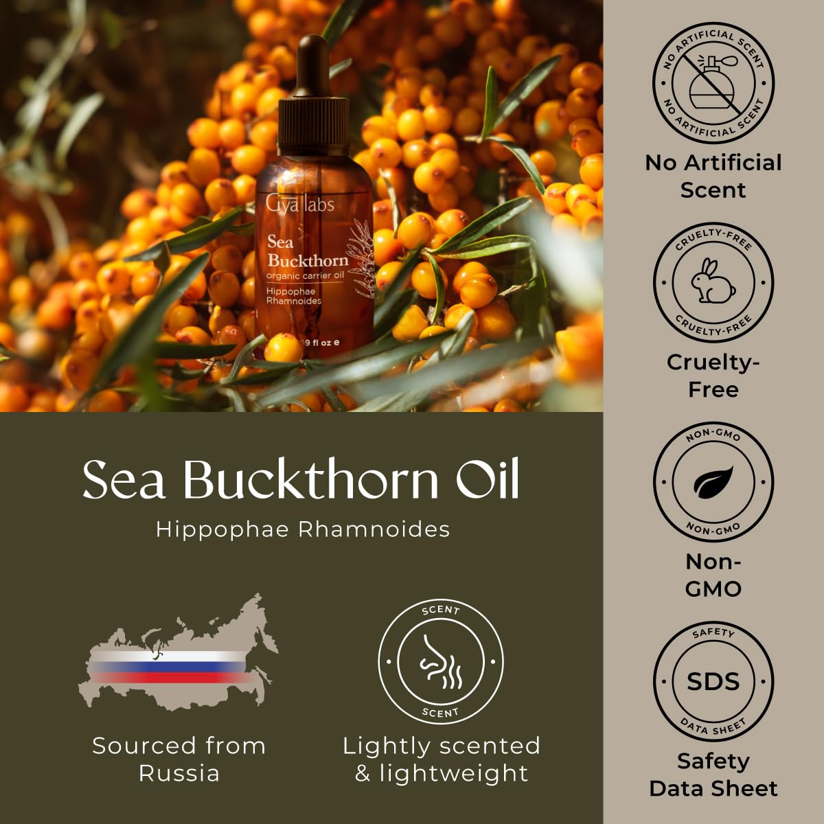 Hands applying sea buckthorn carrier oil for massage