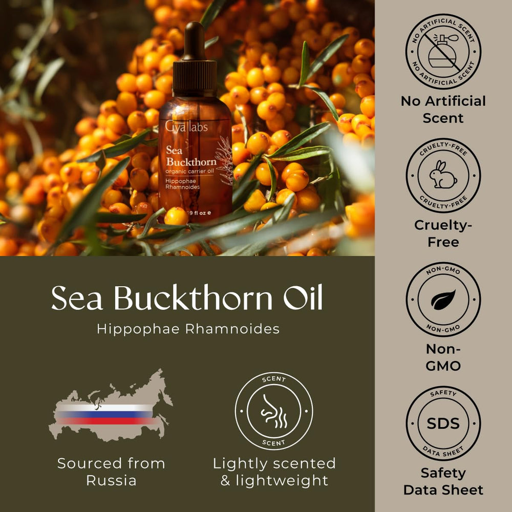 Hands applying sea buckthorn carrier oil for massage