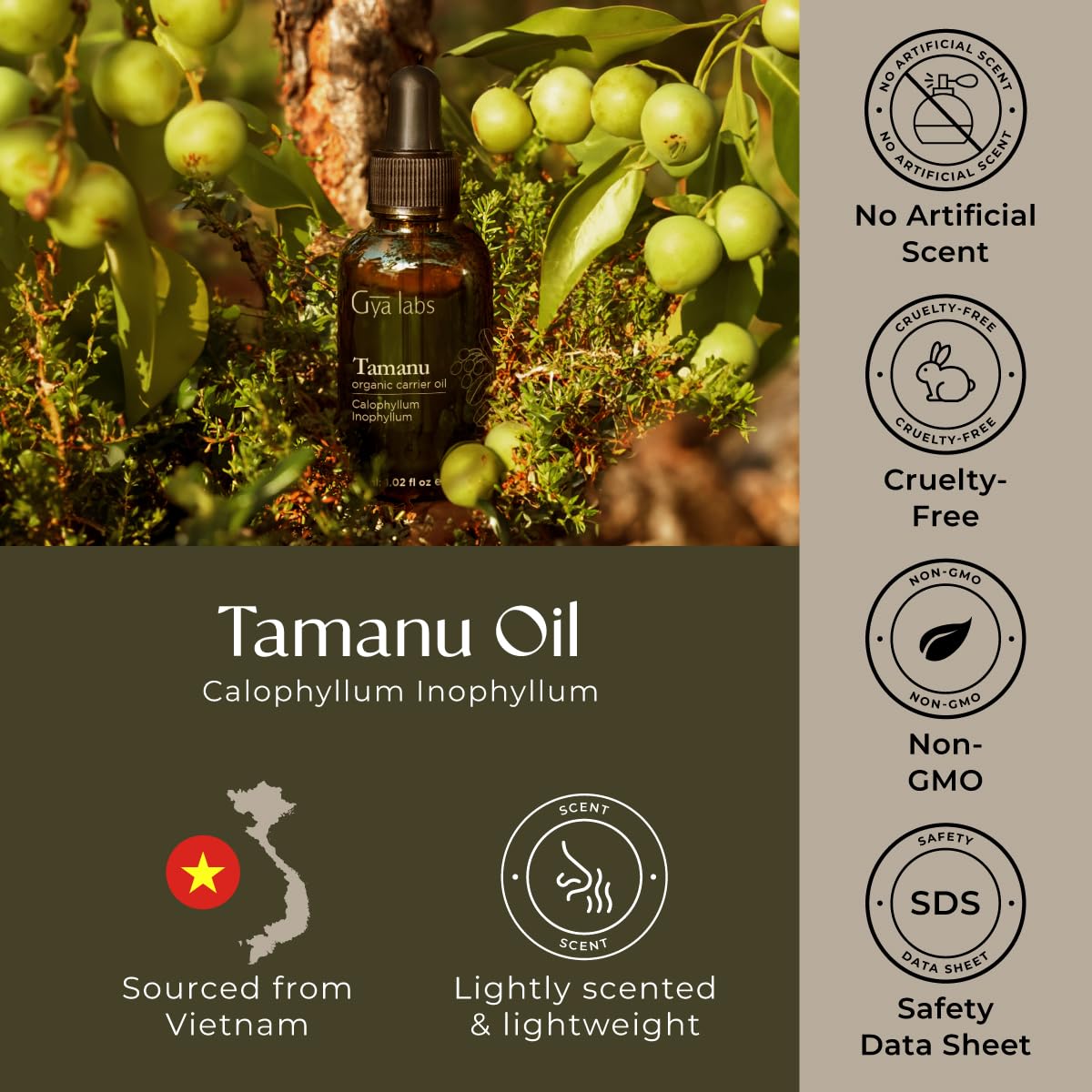 Safety and quality testing labels on Tamanu oil (GC/MS, COA)
