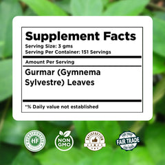 Gymnema Sylvestre leaf powder in a scoop
