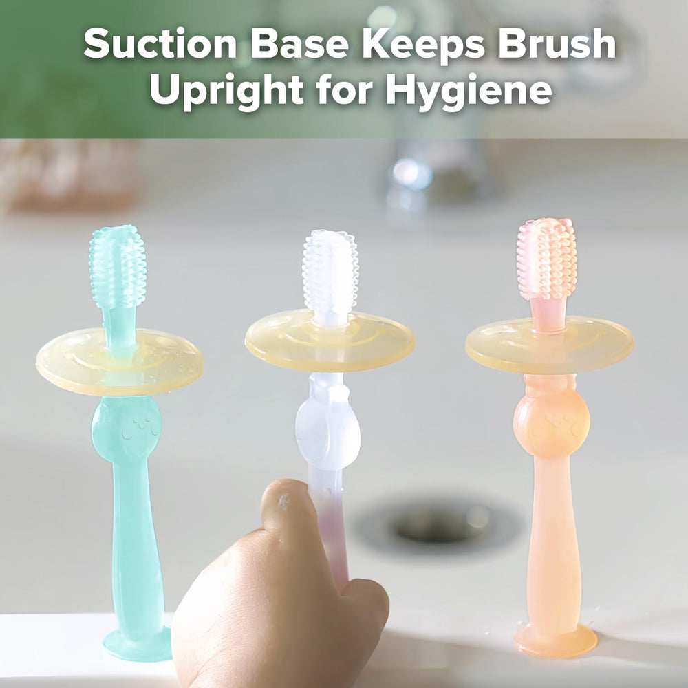 Suction base for upright hygienic storage