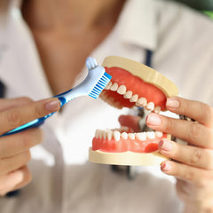 Close-up of soft multi-layer bristles