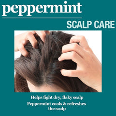 Hair Chemist Peppermint Scalp Stimulator packaging box and label on display