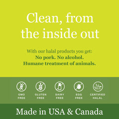 Halal ISNA certification logo