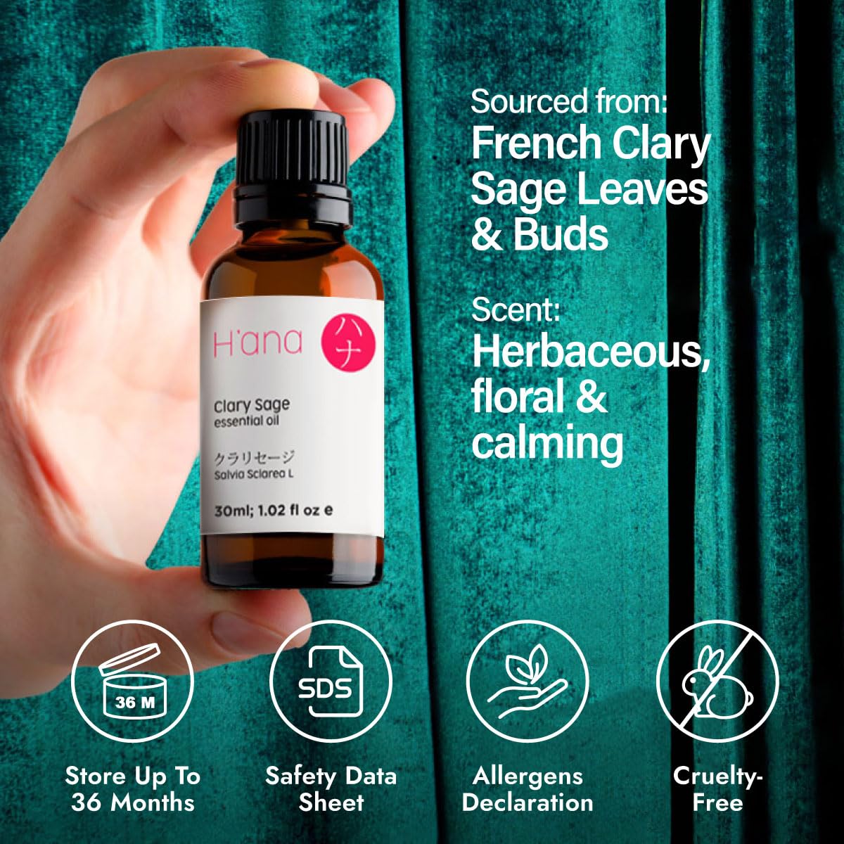 Fresh French Clary Sage leaves used to produce the oil