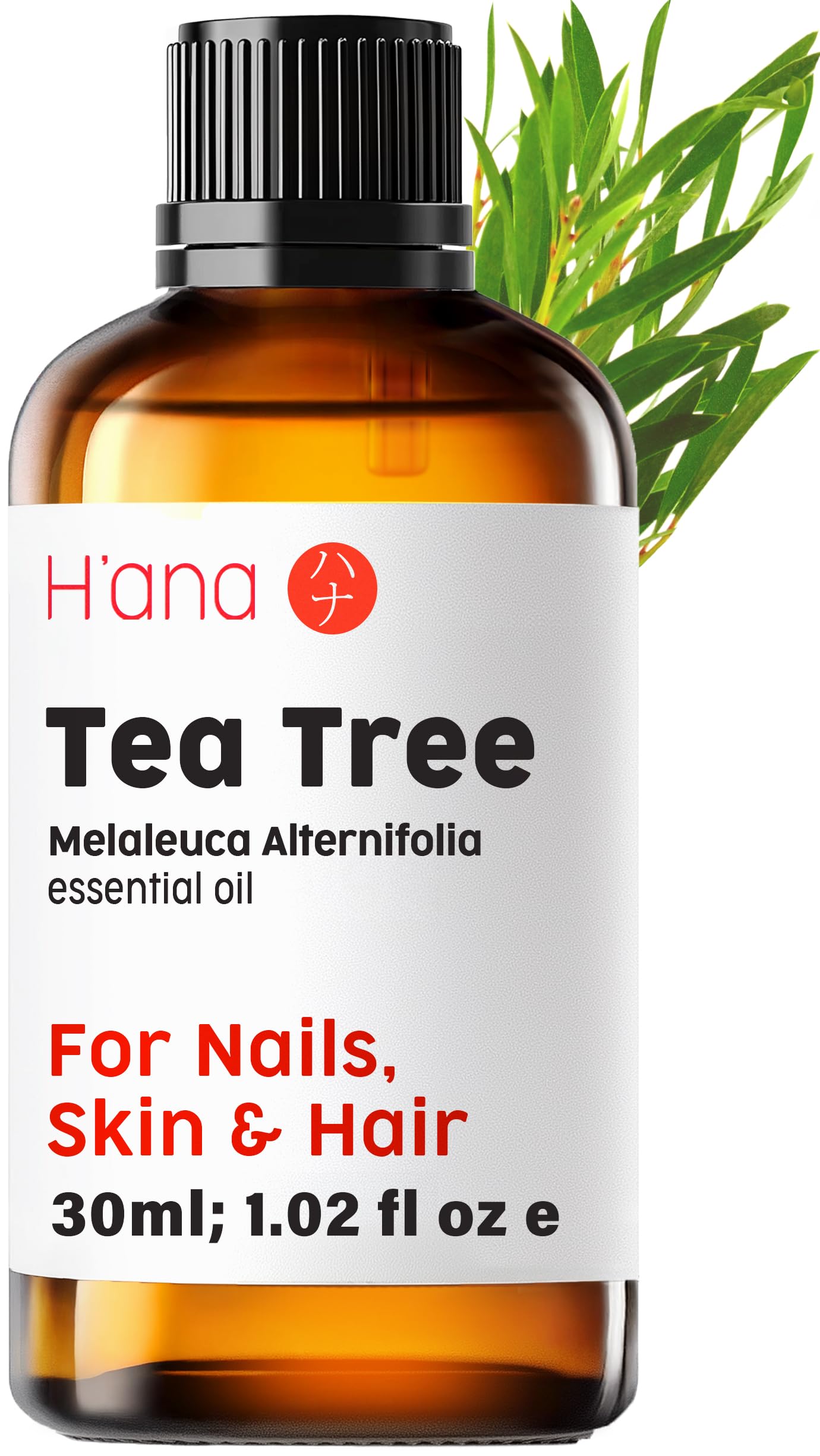 H'ana Tea Tree Essential Oil bottle front view