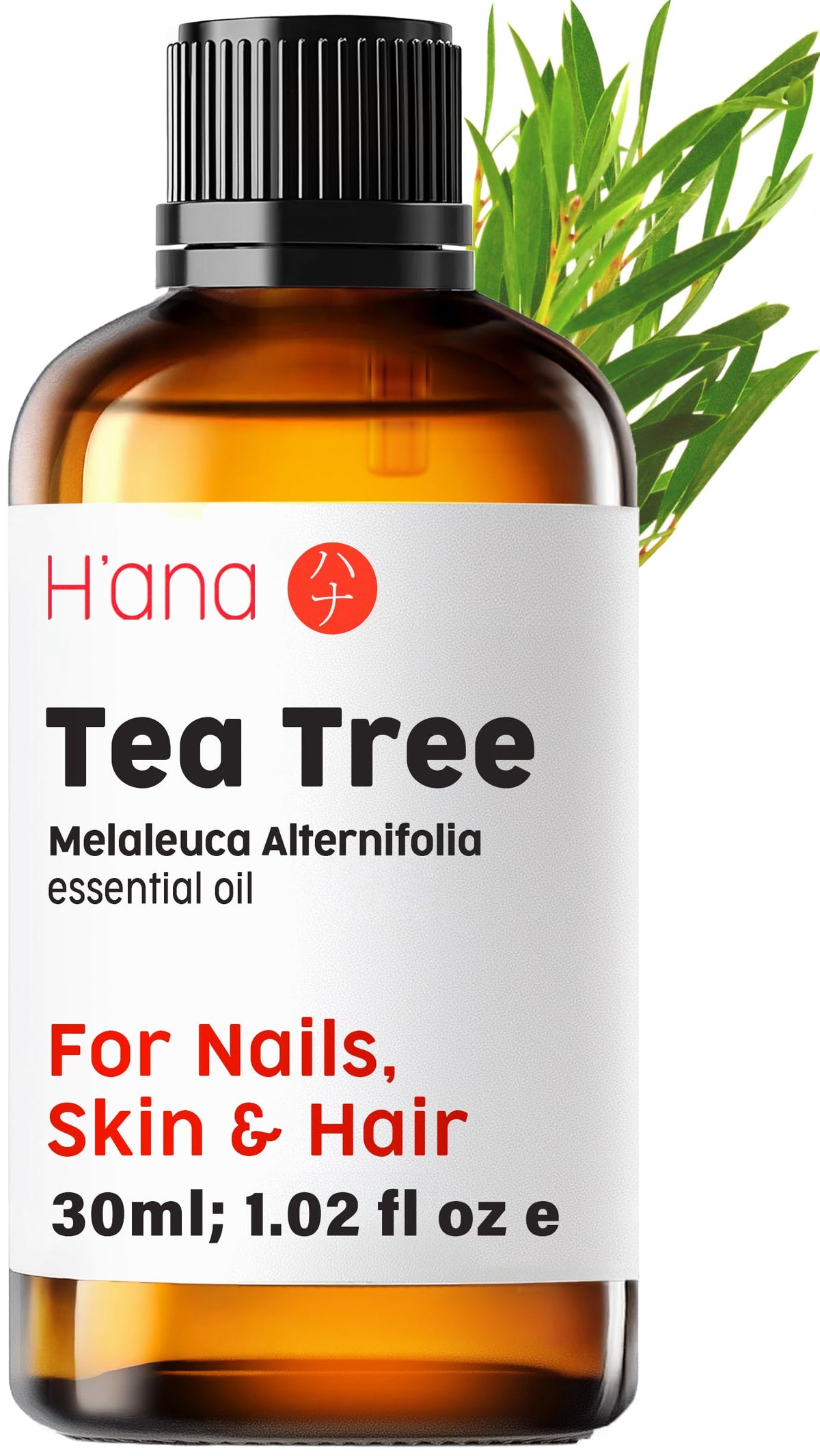 H'ana Tea Tree Essential Oil bottle front view