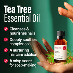 Diffuser with tea tree essential oil