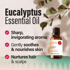 Eucalyptus leaves and essential oil droplet