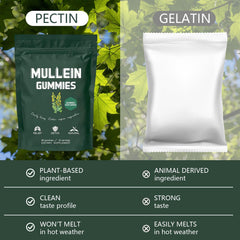 Close-up of pear-flavored mullein gummies