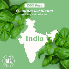Basil essential oil for skincare and massage