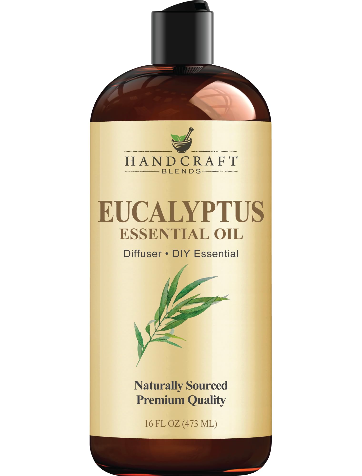 16 oz bottle of Handcraft Blends Eucalyptus Essential Oil for bulk DIY use