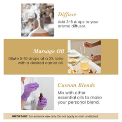 Ginger essential oil for skincare and aromatherapy