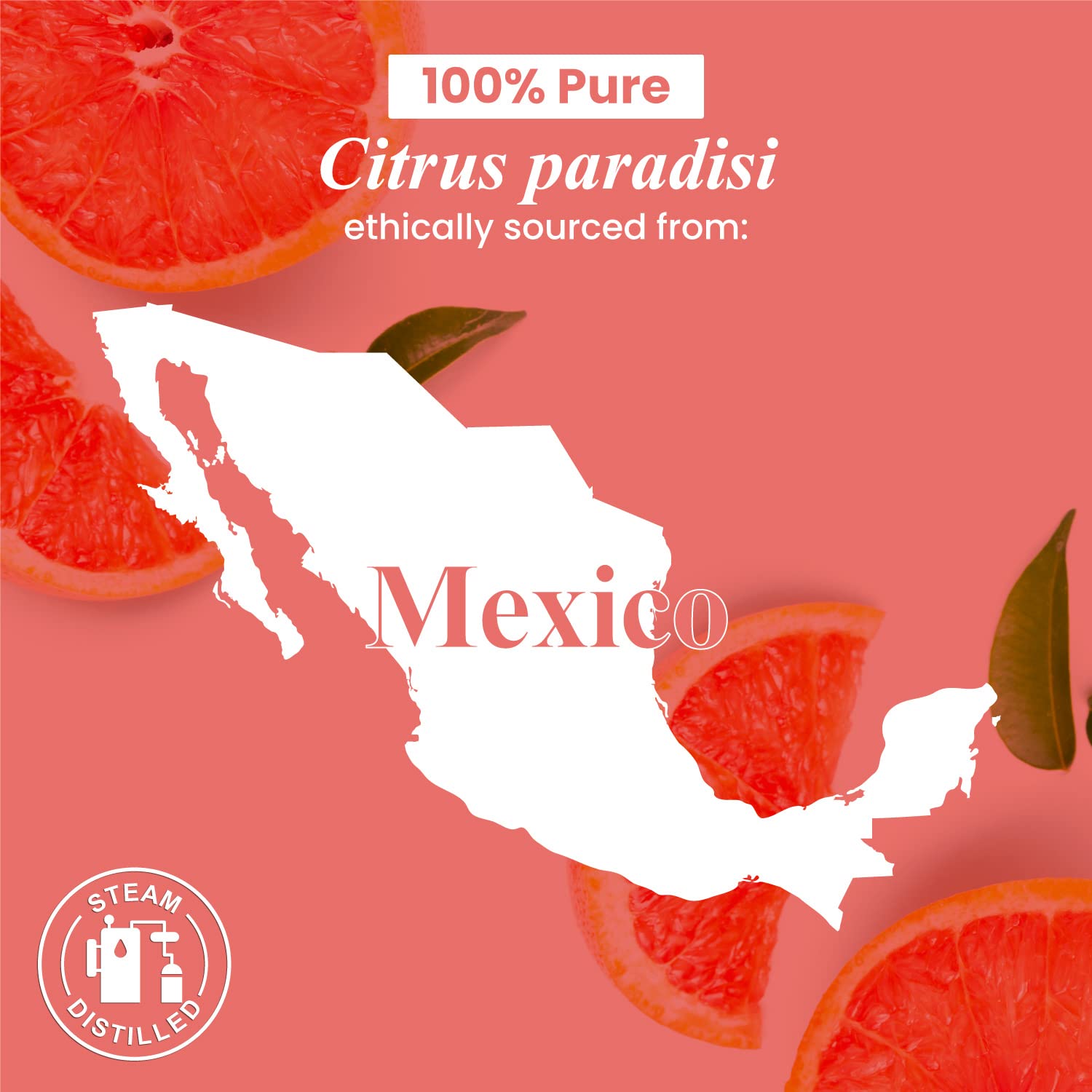 Packaging of Handcraft Blends grapefruit essential oil, USA sourced