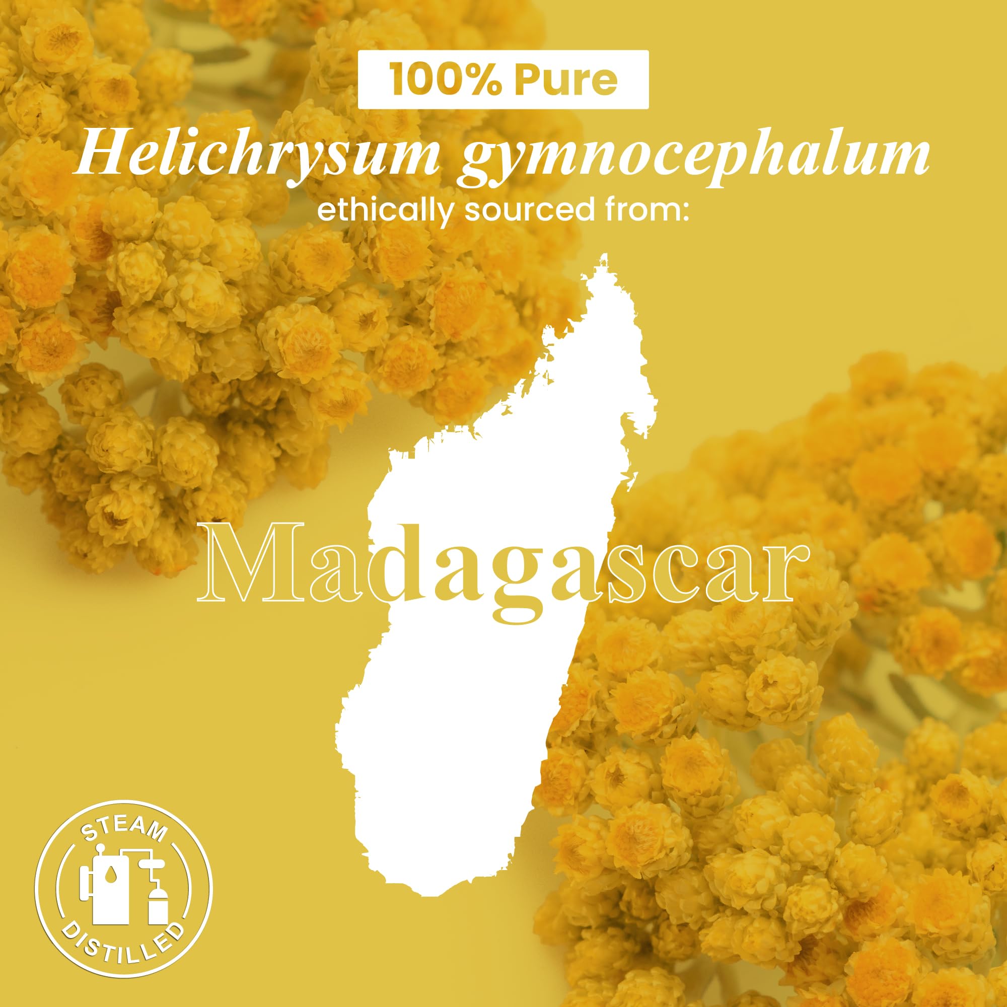 Helichrysum essential oil bottled in the USA