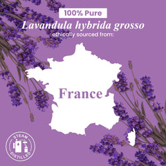Lavender essential oil used in candle and soap making