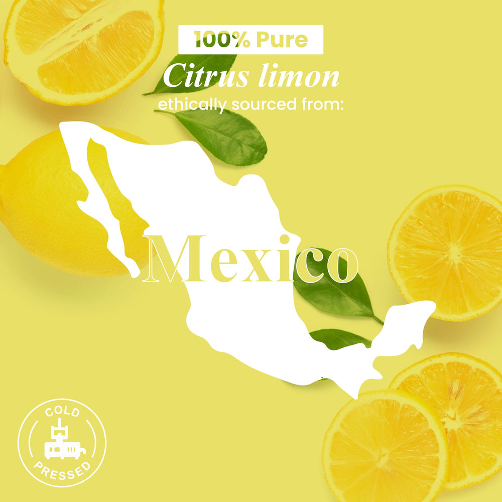 Gift-ready packaging for Handcraft Blends Lemon Essential Oil