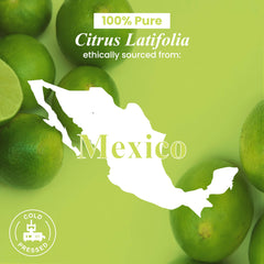 USA-packaged lime essential oil in amber bottle