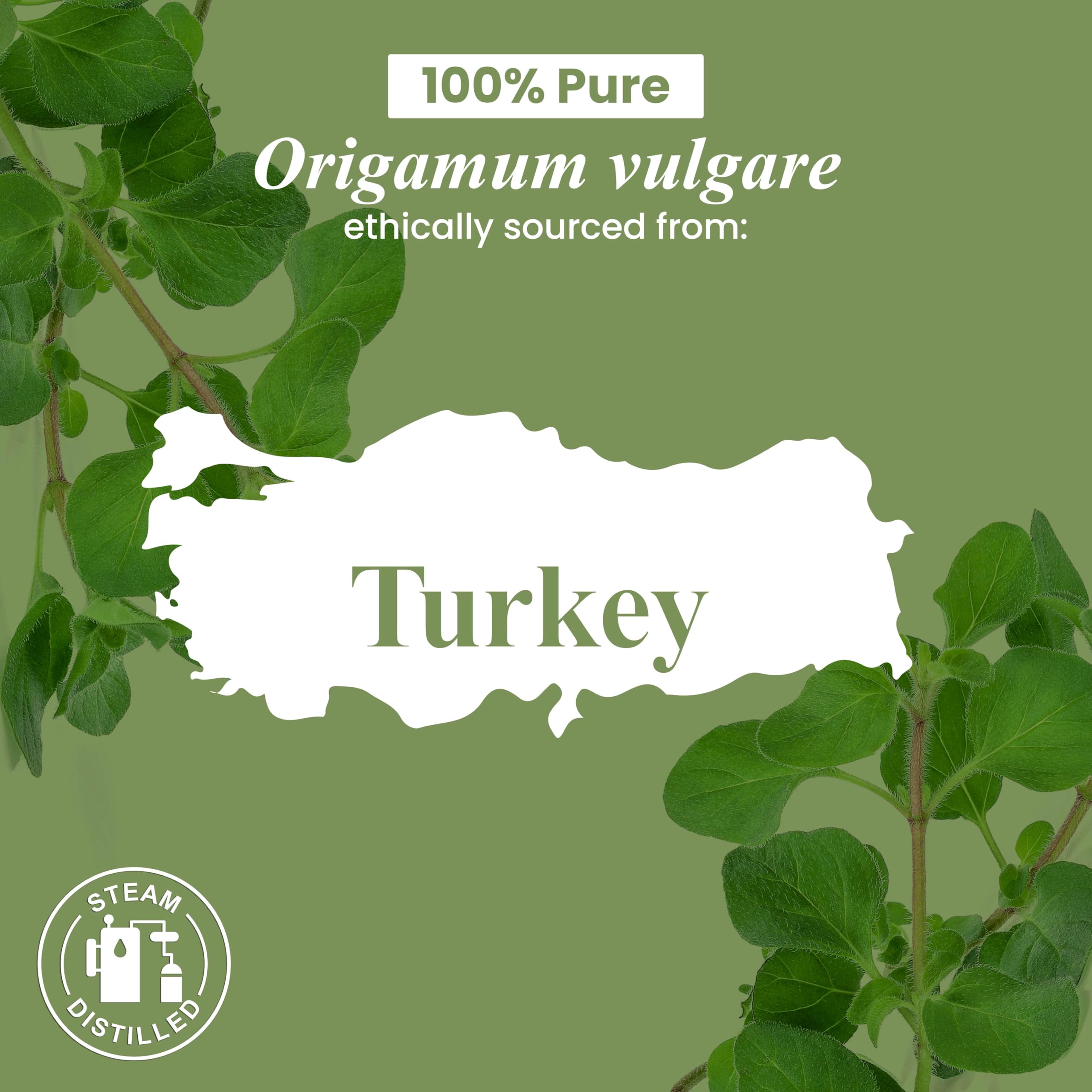 Oregano oil bottled in the USA