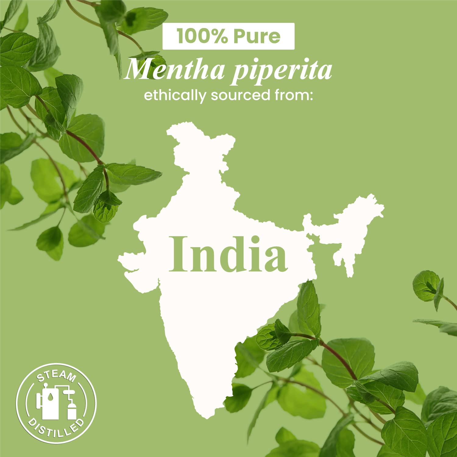 USA-made label on Handcraft Blends peppermint oil with quality guarantee