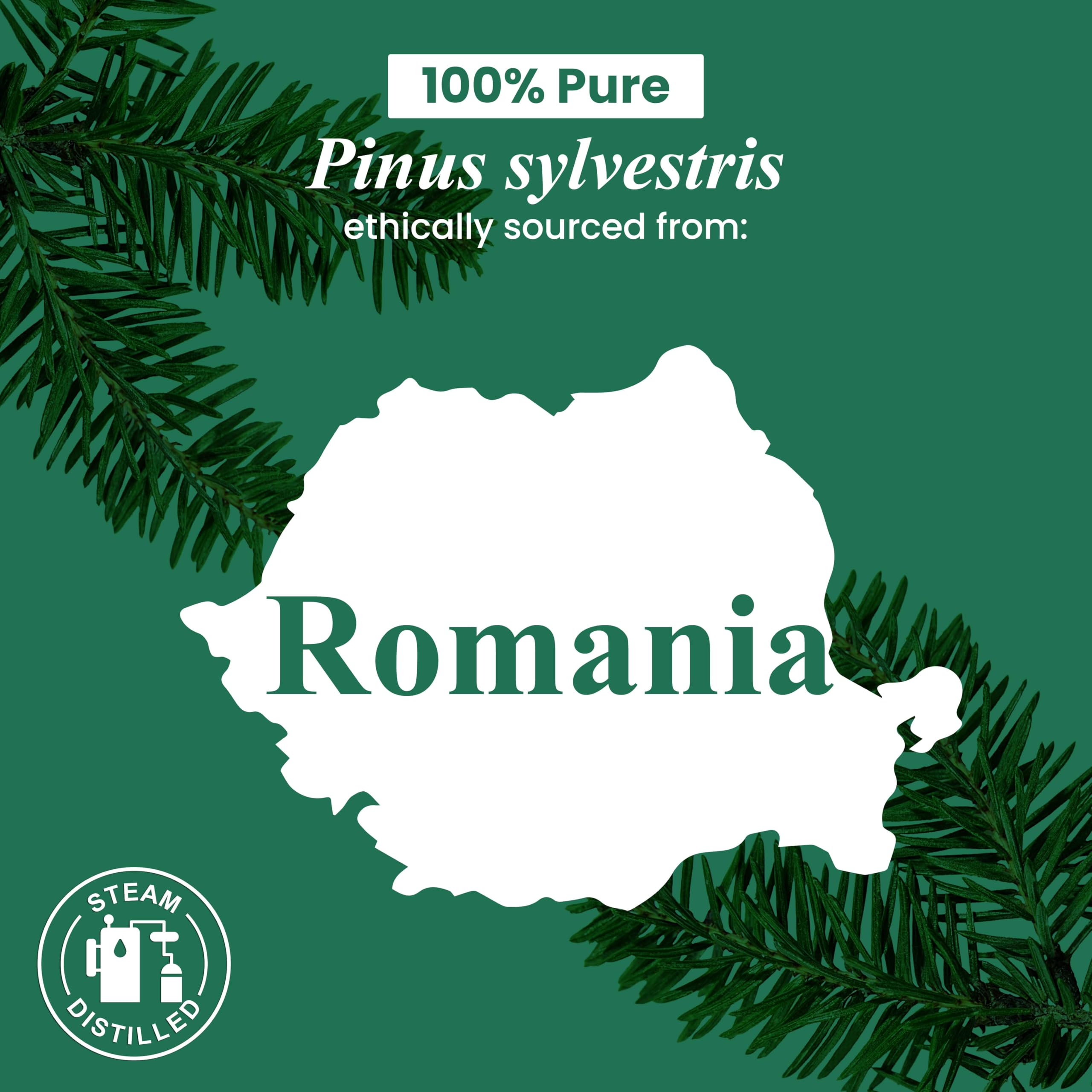 Handcraft Blends label on pine essential oil bottle
