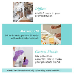 Essential oil diffuser and spearmint oil bottle