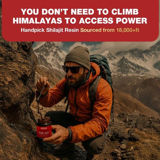 Shilajit resin with scoop and minerals on natural background