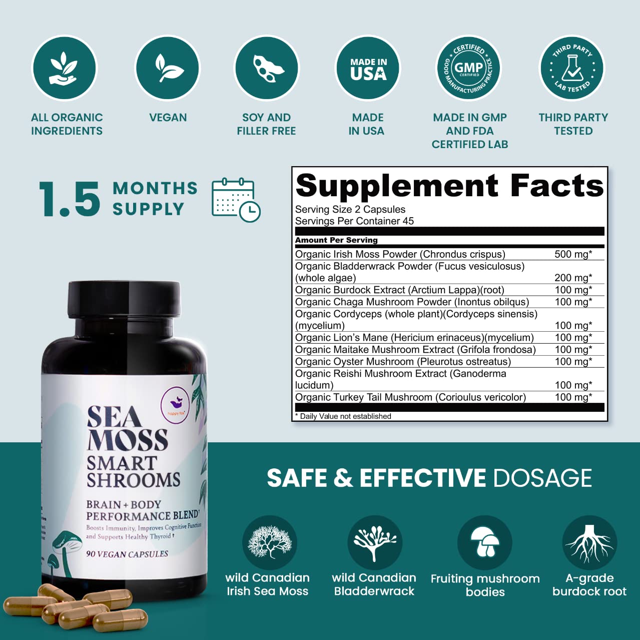 Adaptogenic mushroom blend including Lion's Mane and Chaga