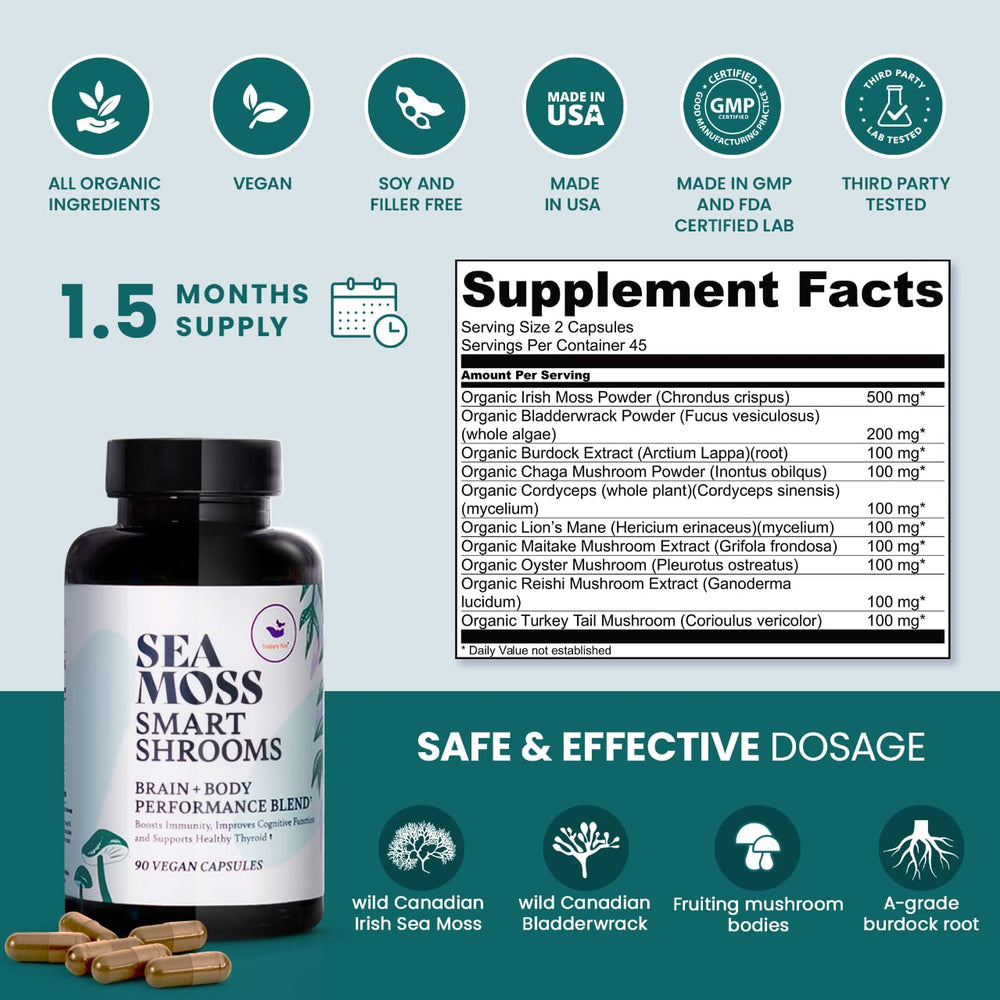 Adaptogenic mushroom blend including Lion's Mane and Chaga