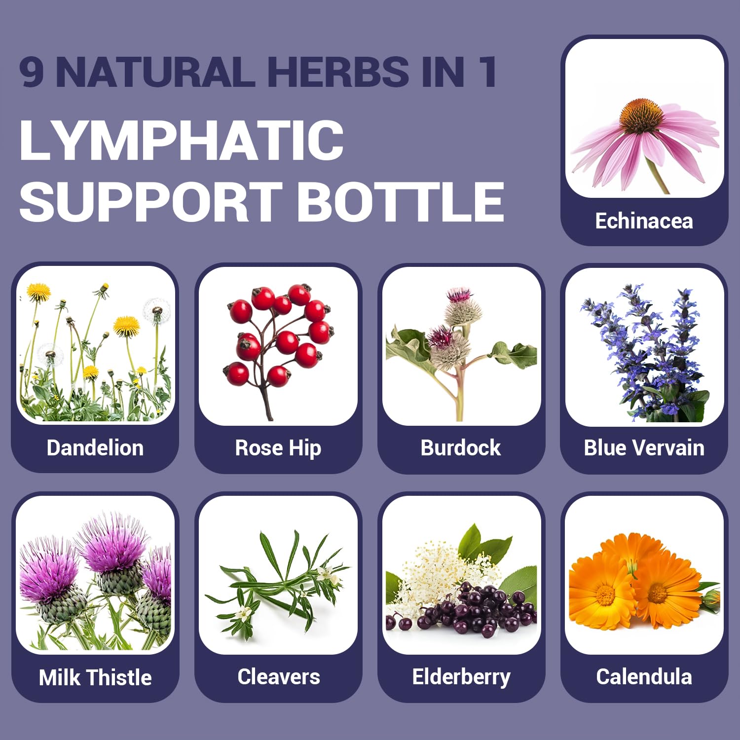 Front label of HARMONIFY Lymphatic Drainage Drops