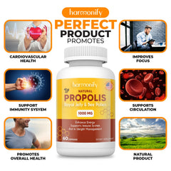 Natural propolis protection symbol representing immune support