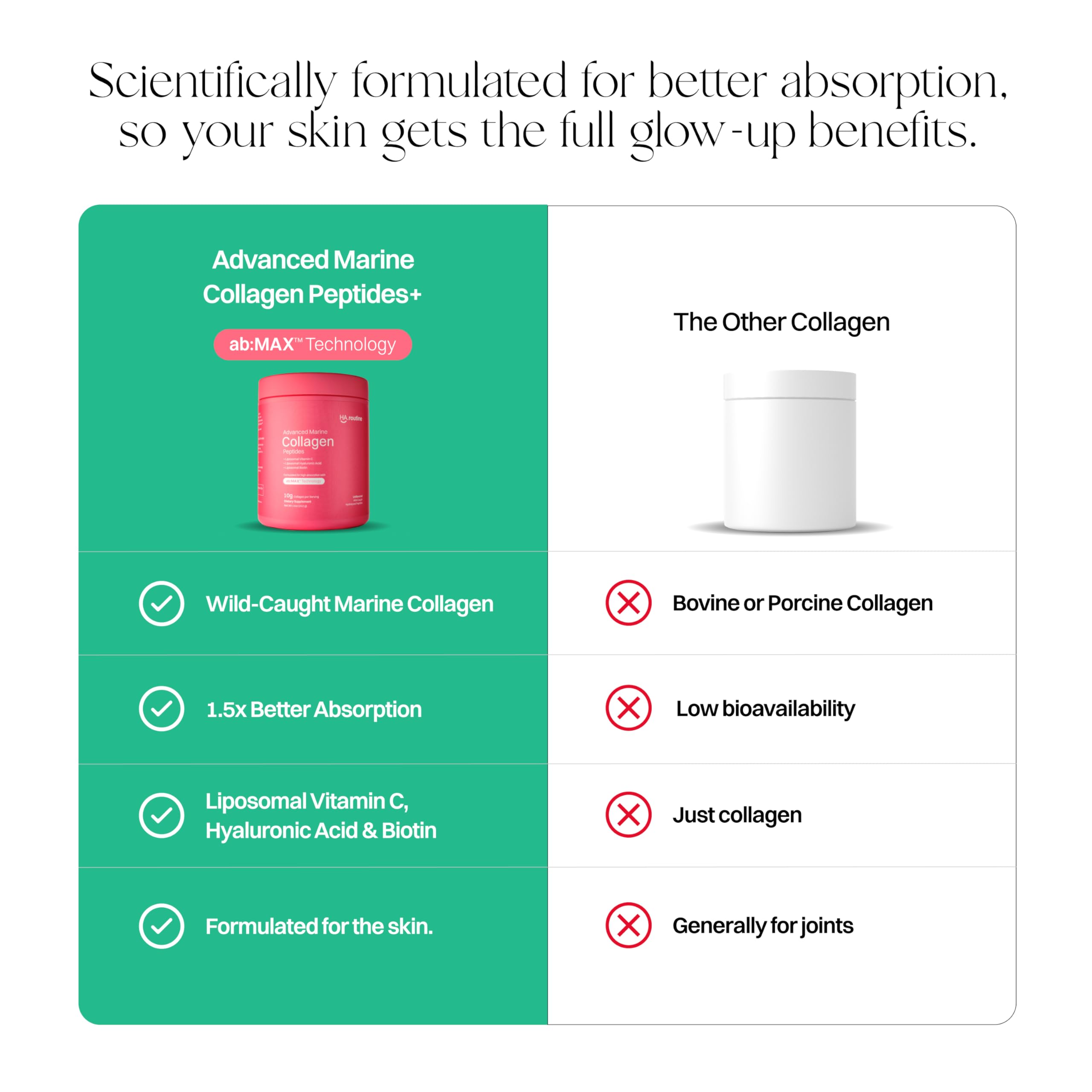Graphic illustrating absorption and bioavailability